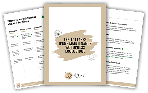 Les 17 étapes d'une maintenance wordpress écologique
